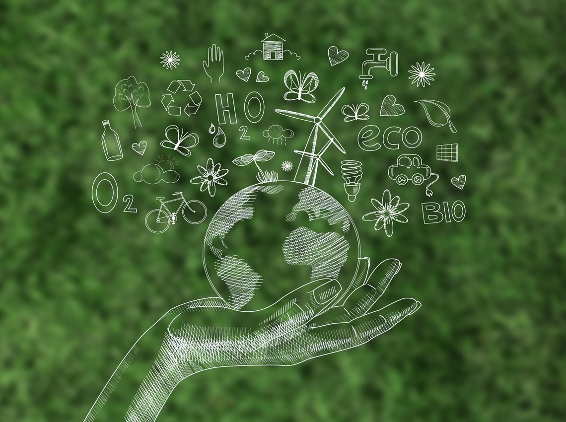 Sustainability Spotlight