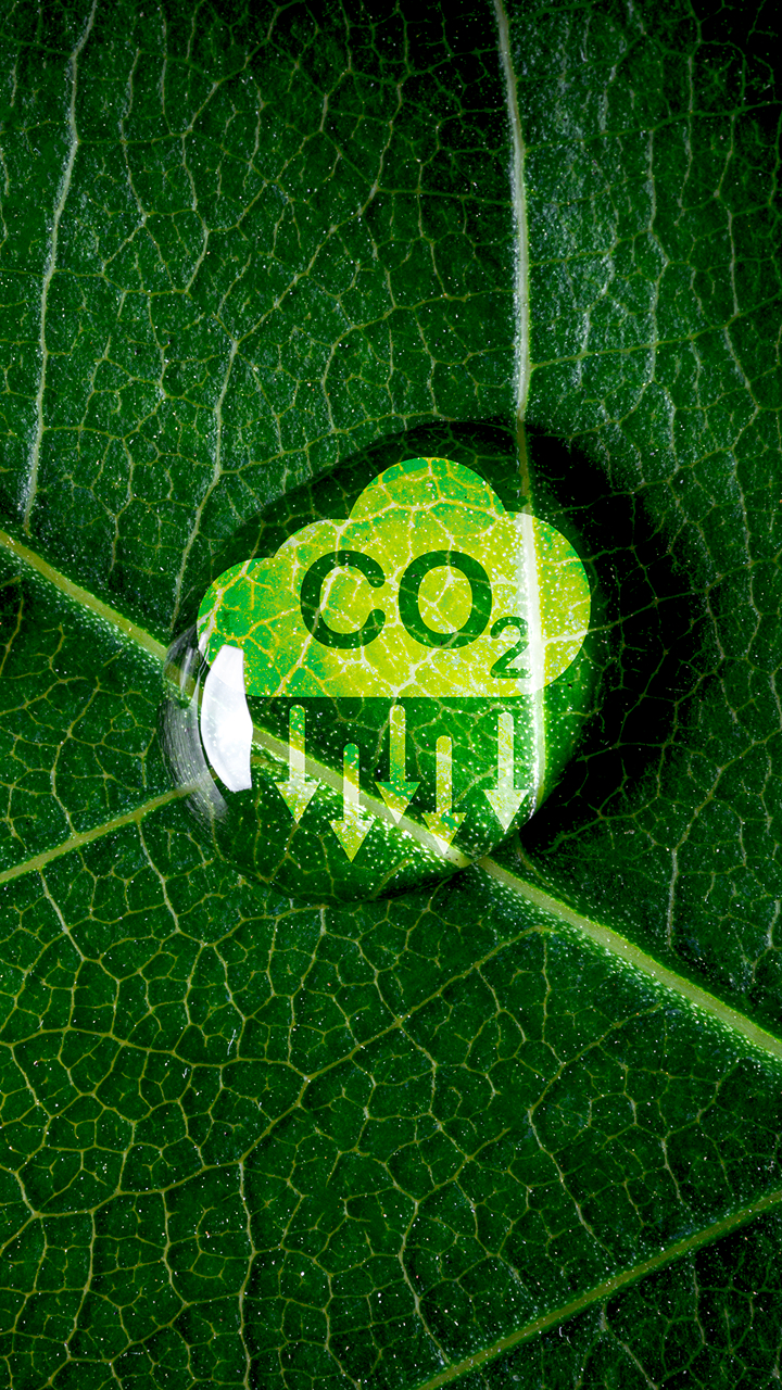 stakeholder materiality assessment